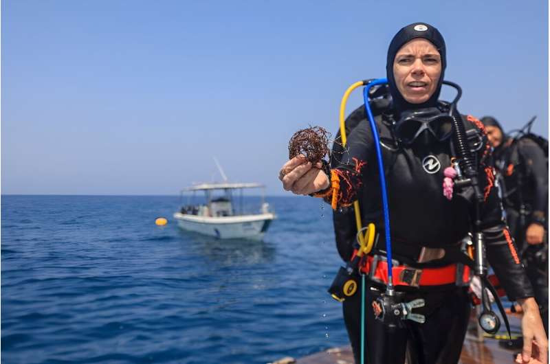 A volunteer diver shows fishing nets removed from coral reefs at Oman's Dimaniyat islands