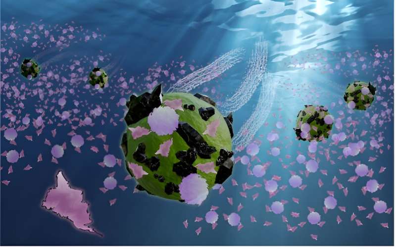 Biohybrid microrobots that could remove micro- and nano-plastics from aquatic environments 